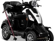 Rolektro Elektromobil Rolektro E-Quad 25 V.2, Blei-Gel-Akku, 1000 W, 25 km/h, (mit Topcase)
