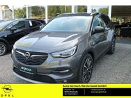 Opel Grandland Plug-in-Hybrid 1.6 Turbo Hybrid EU6d Ultimate PHEV Bi-LED 360 -Kamera Navi - Niederahr