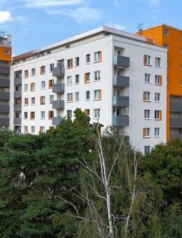 Ihre Chance auf über 6 % Rendite: 22 Wohnungen in Top-Lage als lukratives Paket. - Hanau (Brüder-Grimm-Stadt)