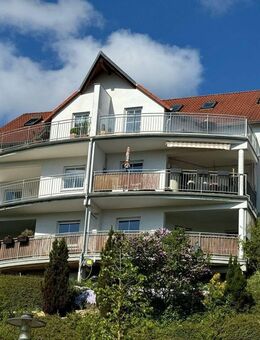 Frühlingserwachen mit Blick über das Saaletal - Jena