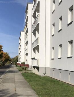 Umziehen lohnt sich ... - Cottbus