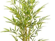 Kunstbaum Bambus, I.GE.A., Höhe 90 cm, Im Topf