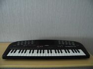Keyboard klein mit Hefte - Unna