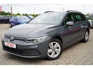 VW Golf VIII Variant 1.5 TSI Life AHK LED Navi ACC - Sandersdorf Brehna