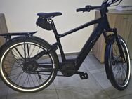 Elektrofahrrad Urban Jungle GINZA 1.0 - Geldern