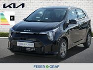 Kia Picanto, 1.0 PE2 VISION, Jahr 2022 - Roth (Bayern)