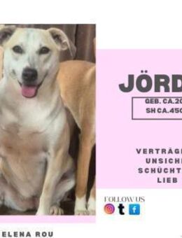 Jördis - unser Rohdiamant - Rambin