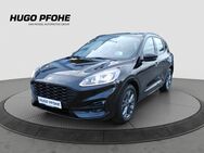 Ford Kuga, 1.5 ST-Line EcoBoost 110kW, Jahr 2023 - Oldenburg (Holstein)