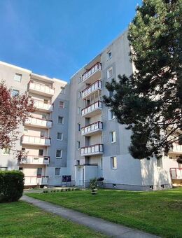 Möbliertes Einzimmerapartment - ab Oktober verfügbar! - Görlitz