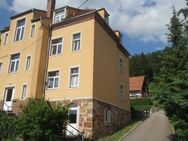 Vermietetes 6-Familienhaus in Südhang-Lage in Schmiedeberg zu verkaufen - Dippoldiswalde Zentrum