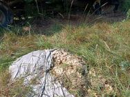 schafwolle als Pflanzendünger - Arnstein (Bayern)