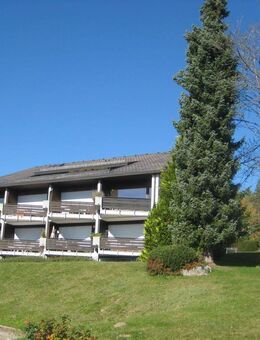 Luxuriöse 2 Zimmer-Wohnung in bester Lage von Schönwald zu vermieten - Schönwald (Schwarzwald)
