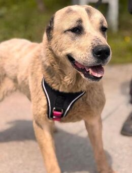 Nirmala sucht ihre Familie - Berlin