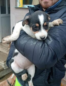 Galina möchte deine Welt erobern - Steinhagen (Nordrhein-Westfalen)