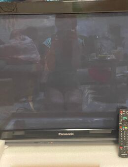 Panasonic TX P42X10E Plasma Fernseher - Neustadt (Weinstraße)