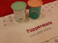 Tupperware Tiwi Behälter - Büdingen