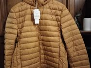 Damen Daunen/Steppjacke Gr. 42/44 - Halle (Saale)