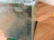 Verk. Aquarium Becken 30l - Duckow