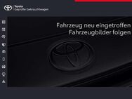 Toyota RAV 4, Hybrid Team Deutschland, Jahr 2020 - Emmendingen