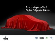 VW California, 2.0 TDI Caddy Maxi California, Jahr 2022 - Braunschweig