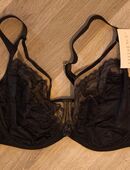 BH 85i mit Bügel in 01067