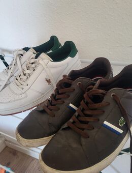 Ralph Lauren / Lacoste Schuhe - Brandenburg (Havel)