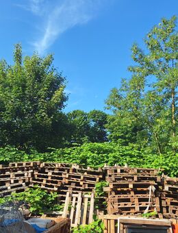 Holzpaletten ( keine EURO Palette ) - Mülheim (Ruhr)