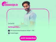 Serienprüfer (m/w/d) - Hodenhagen