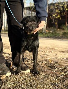 Leandra - möchte die Welt entdecken - Köln