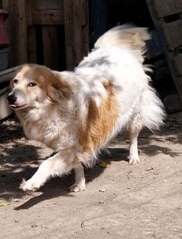 Mommy die ruhige schüchterne - Rambin