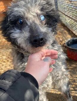 Vonal von kettenlos - Bollingstedt