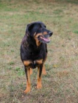 DEGAS - ich kann schon richtig viel - Overath