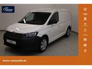 VW Caddy, 2.0 TDI Maxi Cargo, Jahr 2025 - Amberg