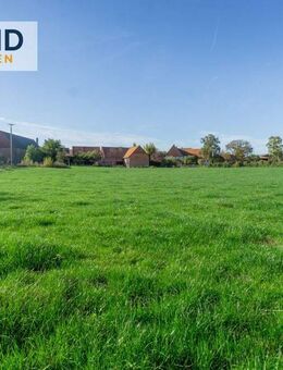 Historisches Bauernhaus mit Scheunen, Stallungen und Weidefläche in Diemelstadt Dehausen! - Diemelstadt