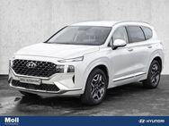 Hyundai Santa Fe Signature Plug-In Hybrid 4WD HUD Niveau Panorama Navi - Aachen