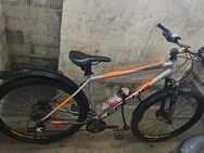 Fahrrad Mauntine Bike Continental 28 - Ludwigshafen (Rhein)