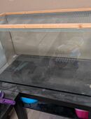 Aquarium 100*50*50 cm in 45896