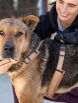 KAIMI ist bereit für sein neues Leben! - München