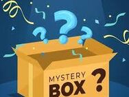 ❓️❓️❓️Mysterybox einer dauergeilen 🫦feuchten 💦Reiterin - Rosenheim