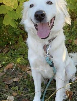 Liebe SNEJANKA = hoher will to please♥️ - München