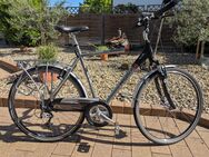 Gebrauchtes 26 Zoll City-/Trekkingrad Pegasus Premio SL (Alu) - Ingelheim (Rhein)