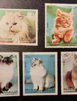 5 Briefmarken Vereinigte Arabische Emirate, SHARJAH, Katzen, verm.1978, gestempelt - Leverkusen