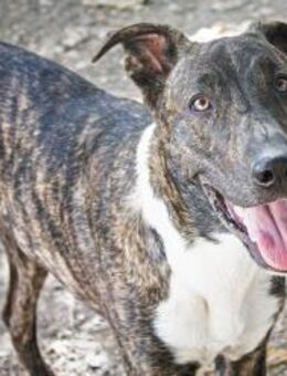 Roca, aktiv - Kettershausen