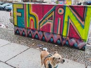 Dogsharing plus neue Freunschaft 🙂 - Berlin Friedrichshain-Kreuzberg