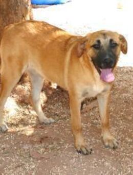 Mamba sucht ihr Zuhause - Fronreute