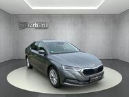 Skoda Octavia, Lim Style, Jahr 2023 - Oebisfelde-Weferlingen Hörsingen