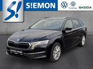 Skoda Octavia, 2.0 TDI Combi Selection, Jahr 2024 - Ibbenbüren