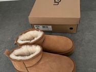 UGG Boots - Köln