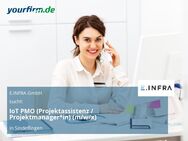 IoT PMO (Projektassistenz / Projektmanager*in) (m/w/x) - Sindelfingen