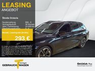 Skoda Octavia, 2.0 TSI Combi SPORTLINE LM18, Jahr 2024 - Bochum